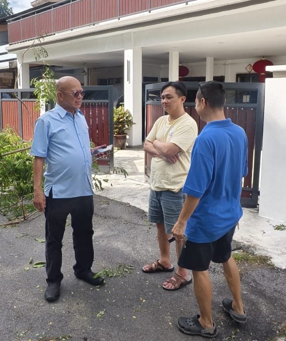 大都会/巴生再发生大树枝桠砸中轿车事故！