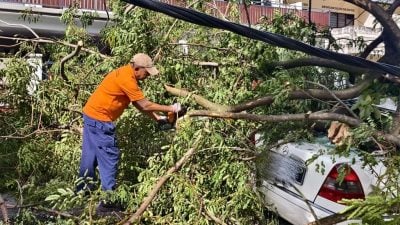 巴生再度发生  大树枝桠砸车 