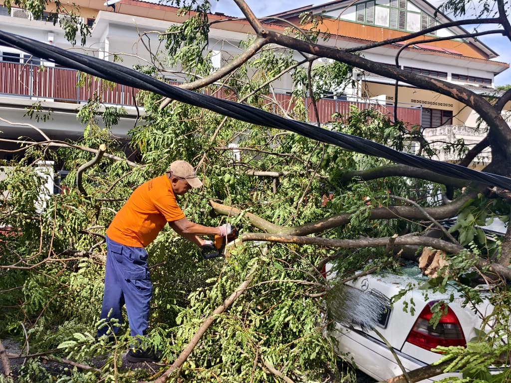 大都会/巴生再发生大树枝桠砸中轿车事故！