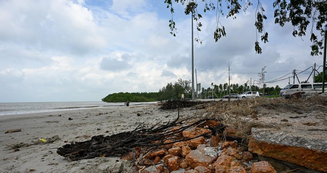大都会/摩立海滩维护工程进度达85%