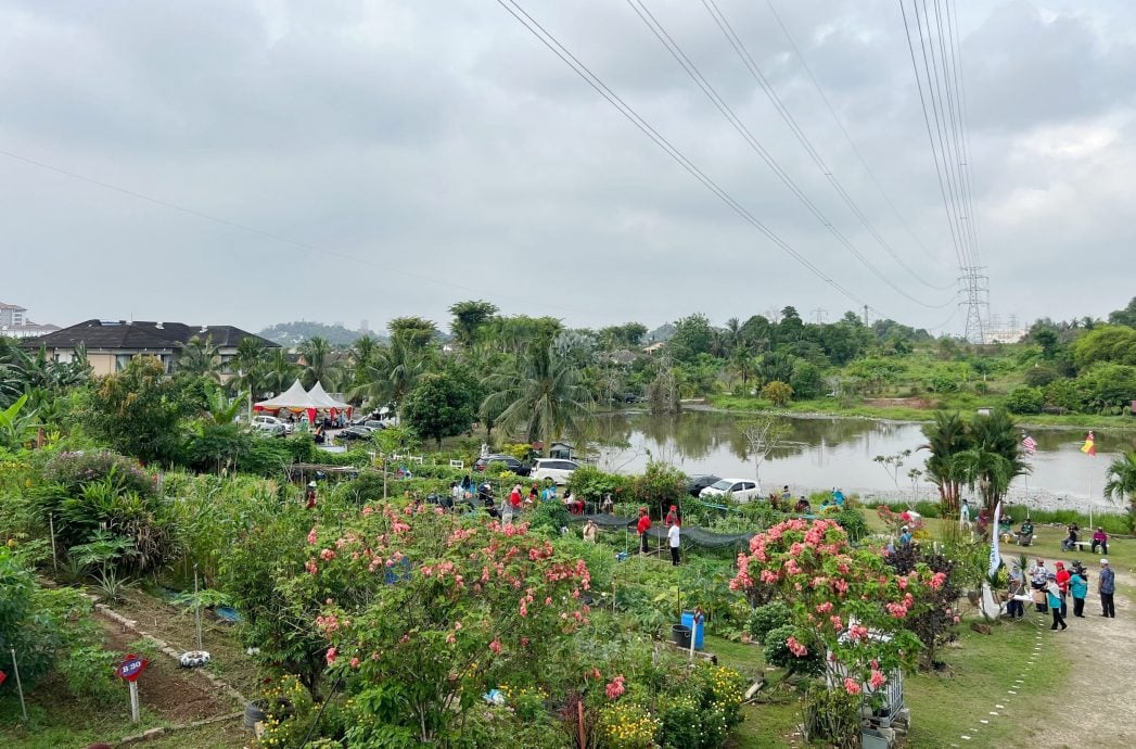 大都会/沙亚南社区菜园推绿色能源/7图