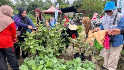 市长：迈向永续社区发展   沙亚南拟推太阳能农园