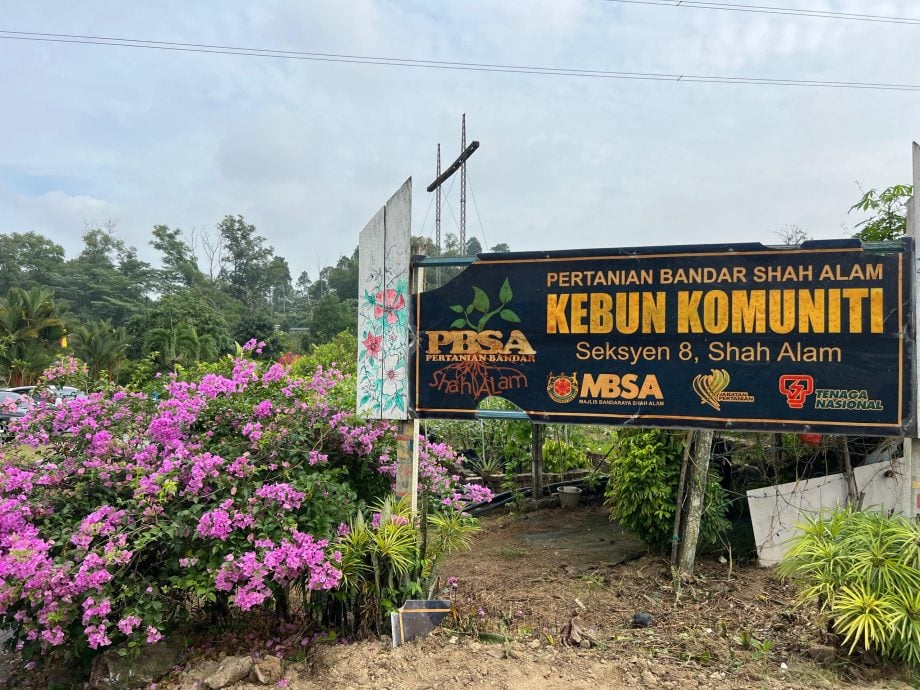 大都会/沙亚南社区菜园推绿色能源/7图