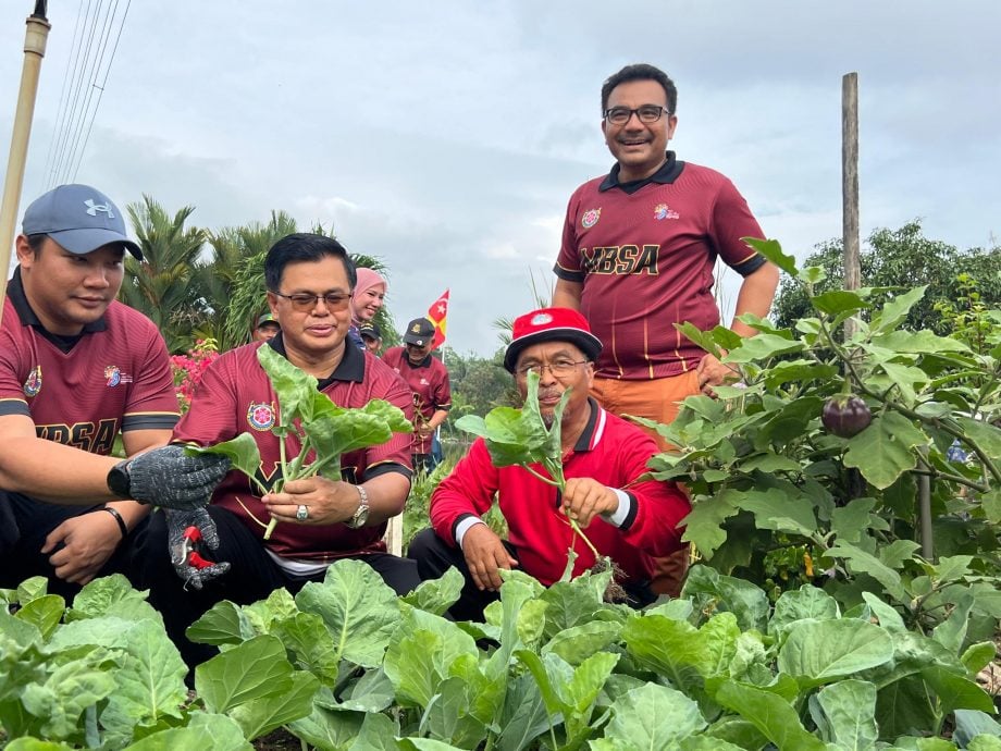 大都会/沙亚南社区菜园推绿色能源/7图