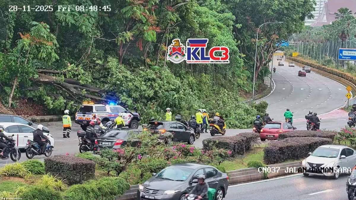 大都会/跟进热带风暴登陆雪州的情况