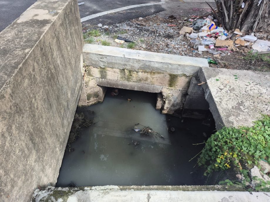 大都会/郑长首加埔开沟防洪