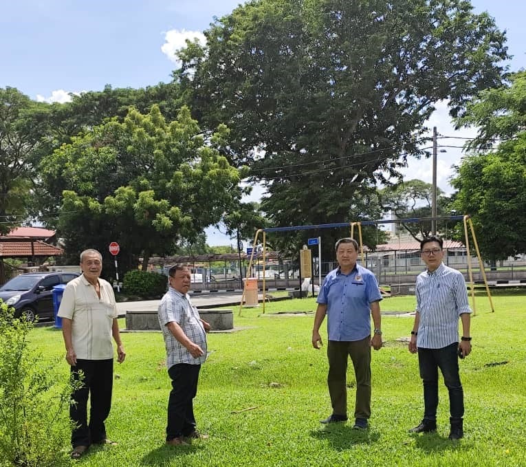 大都会/郑长首砍危树种树