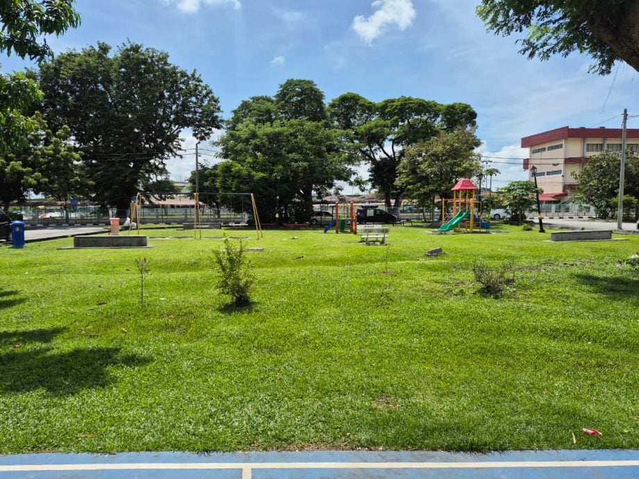 大都会/郑长首砍危树种树