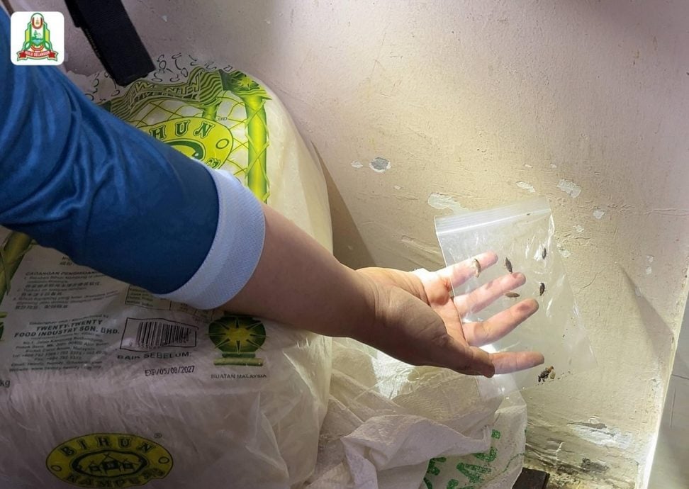 大都会:餐馆太脏被封14天/6图