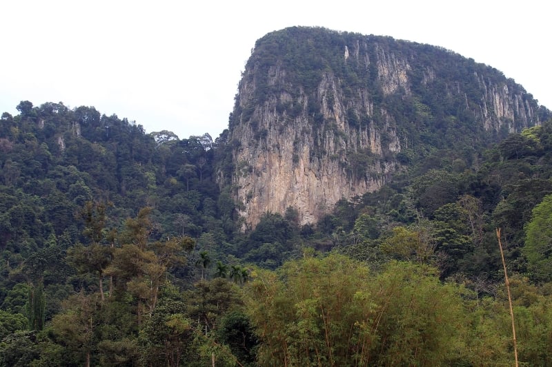 大都会（早报可头）/安邦再也市议会常月会议/3图