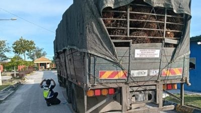 罗里超载新规连锁冲击   建筑仓储托运业叫苦