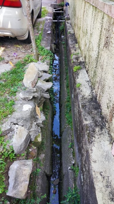 大都会(版3头)/黎丁财PC/5图