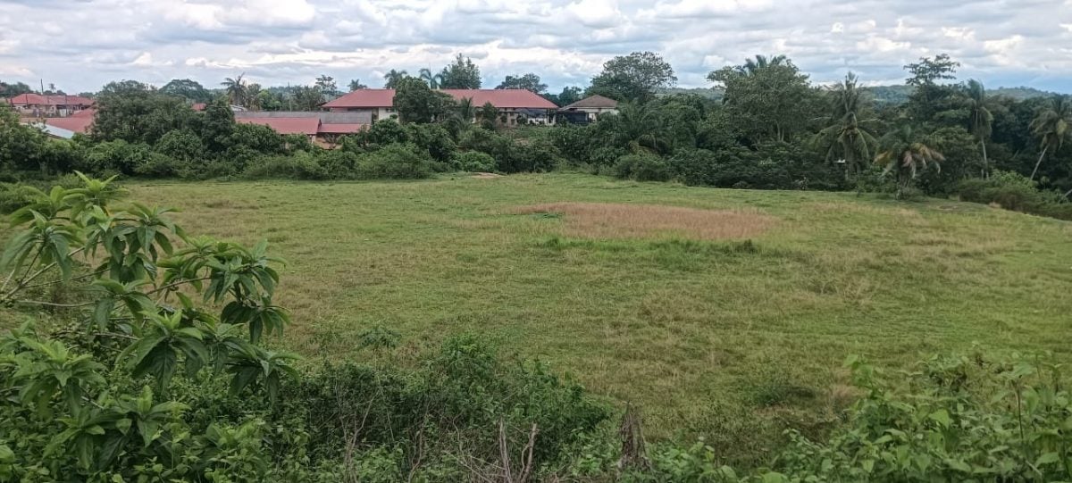 大都会(版3头):煤炭山集群华小 草地正式纳为校地/5图