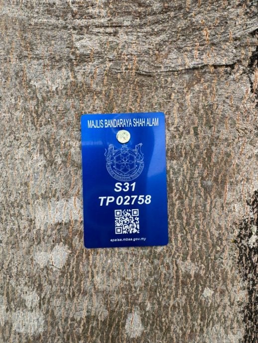 大都会(版3头)/MBSA电子景观资产标记1345项设施、34508棵树数字化管理