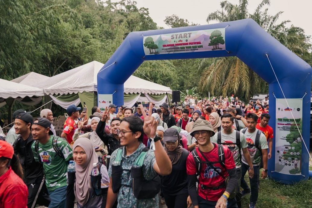 大都会(版4头):541人古都山种树/6图