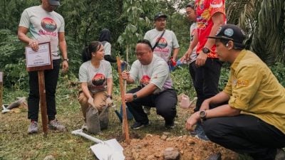 雪12山峰同步展开《一树一命》 541登山客中树护生态 