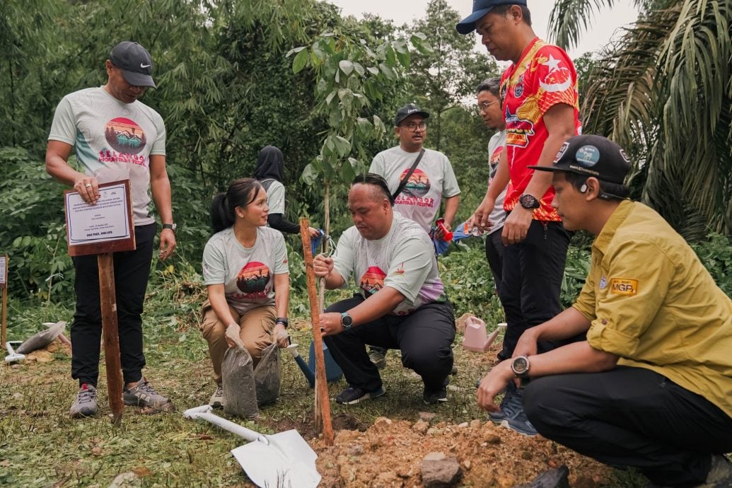 大都会(版4头):541人古都山种树/6图