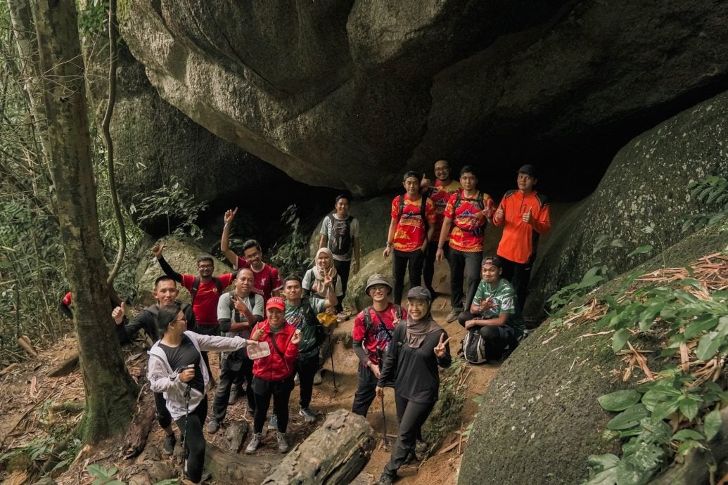 大都会（版4头）：541人古都山种树/6图