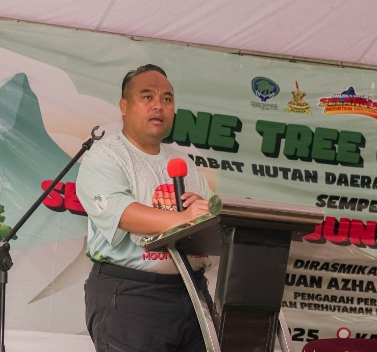 大都会(版4头):541人古都山种树/6图