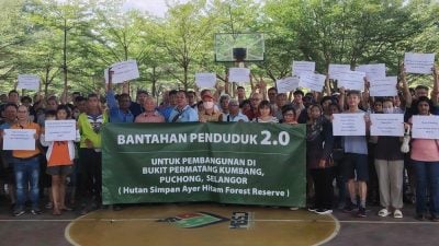 揭冒充居民图复活发展项目 百人请愿守护宏愿山