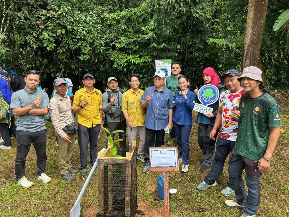 大都会：150人种树清河域/4图