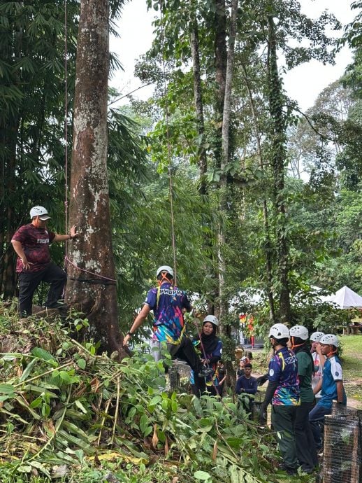 大都会：150人种树清河域/4图