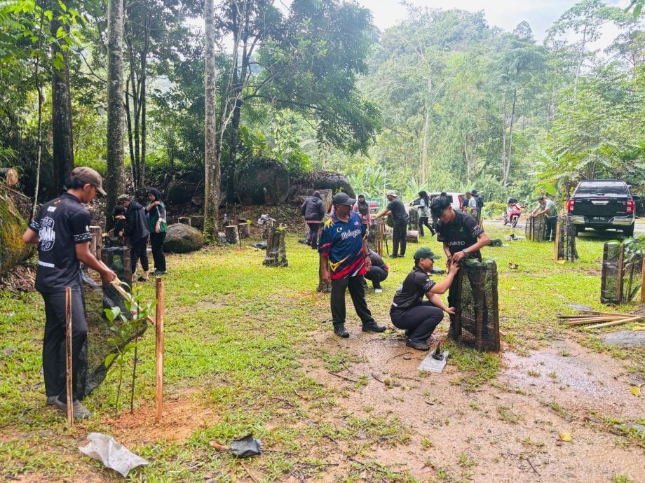 大都会：150人种树清河域/4图