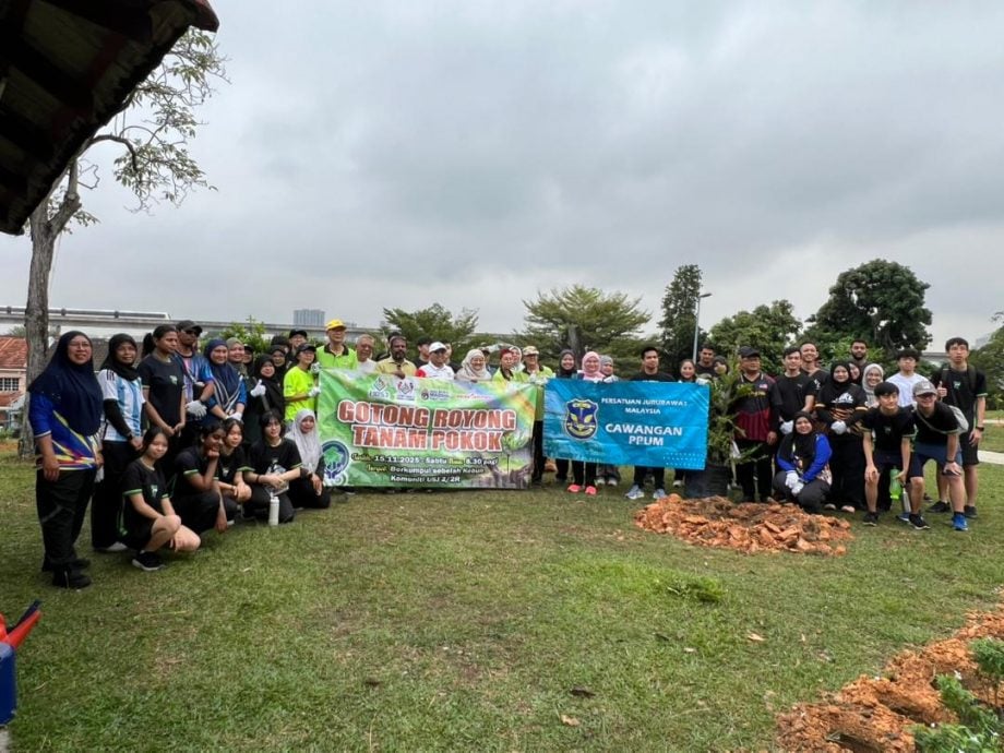 大都会:USJ 2种树活动