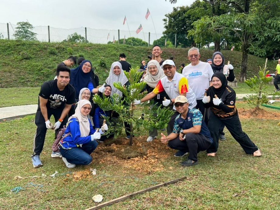 大都会:USJ 2种树活动