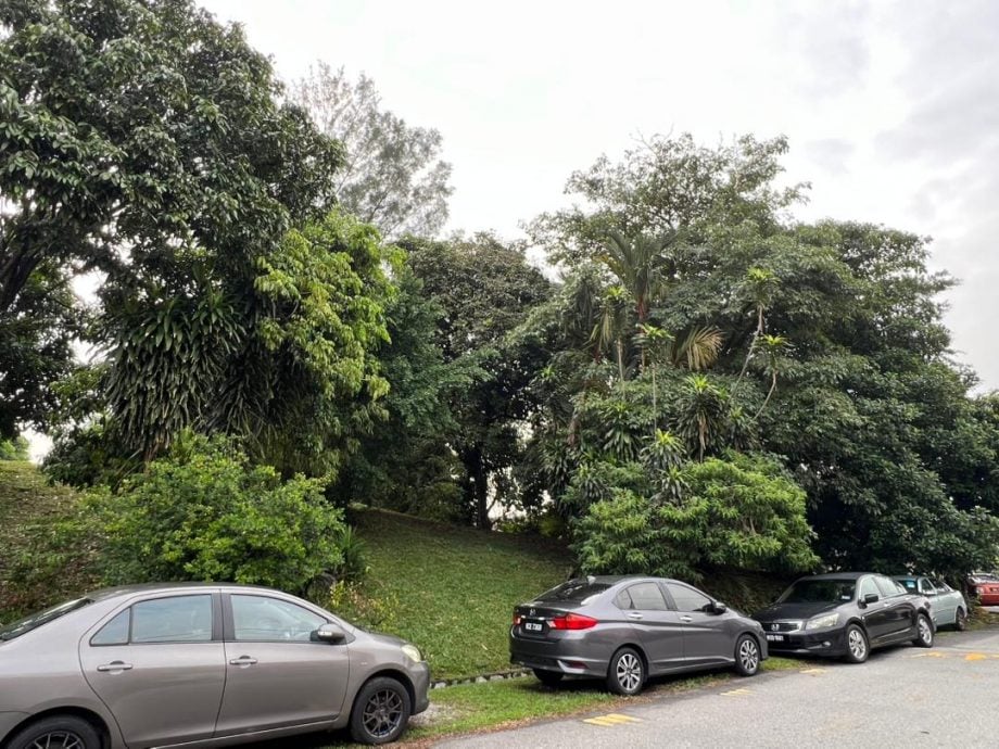 大都会:USJ 2种树活动