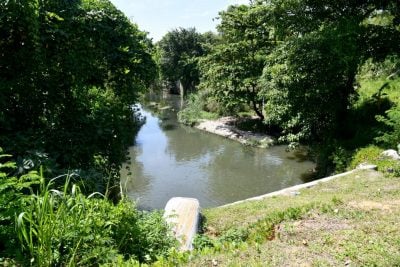 崩塌加重泥土流失  水利局近期修挡土墙 