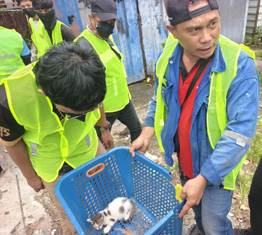 大都会/me03头/原先欲拆巴板路所有木屋 发展商最后按共识拆空屋