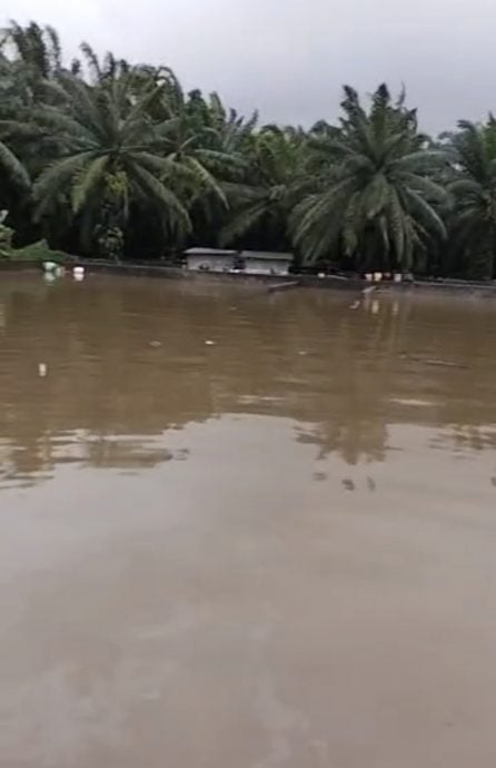 大霹雳封面主文／已签／突发严重大水灾 曼绒油棕业近瘫痪