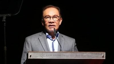 轮值主席国  委东盟非正式顾问  安华:无需查背景