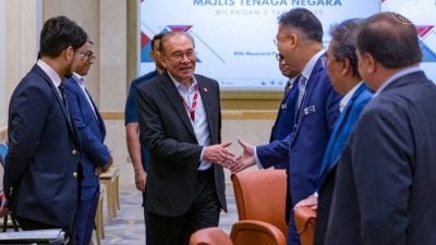 安华：推动绿色科技投资  马盼再生能源2030达35%