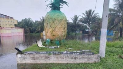 安顺水灾掀“车牌大逃亡”   排放巨型黄梨下成趣味奇景