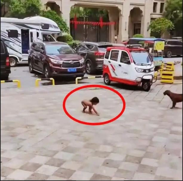 官方通报云南“野人小孩”调查:亲生父母抚养 无虐待及非法牟利