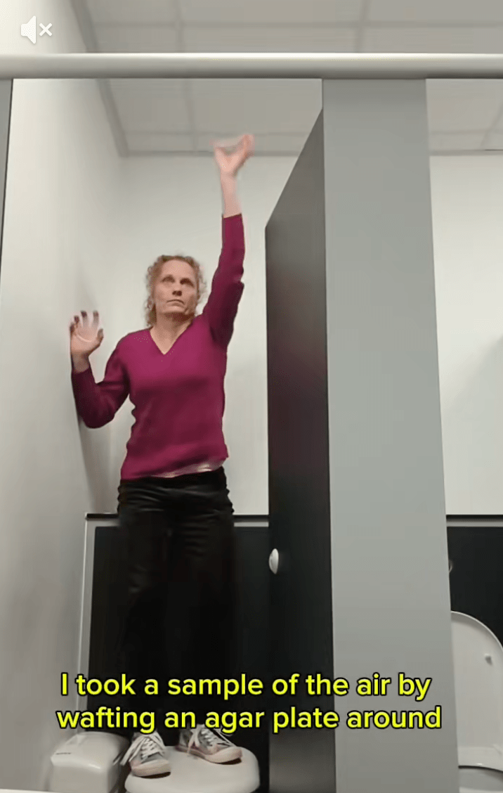 实验揭公厕烘手机藏菌惊人 用后肮脏过未洗手前 影片破千万观看掀热议