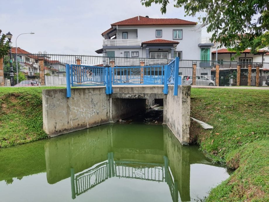 封主文-大都会-甲洞大都会公园湖泊再有鱼死事件／7图