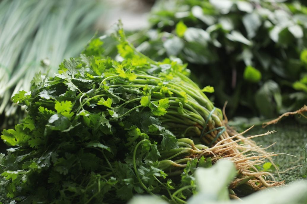 封面-大都会-新年还没到，芽菇已提前三个月报到／10图