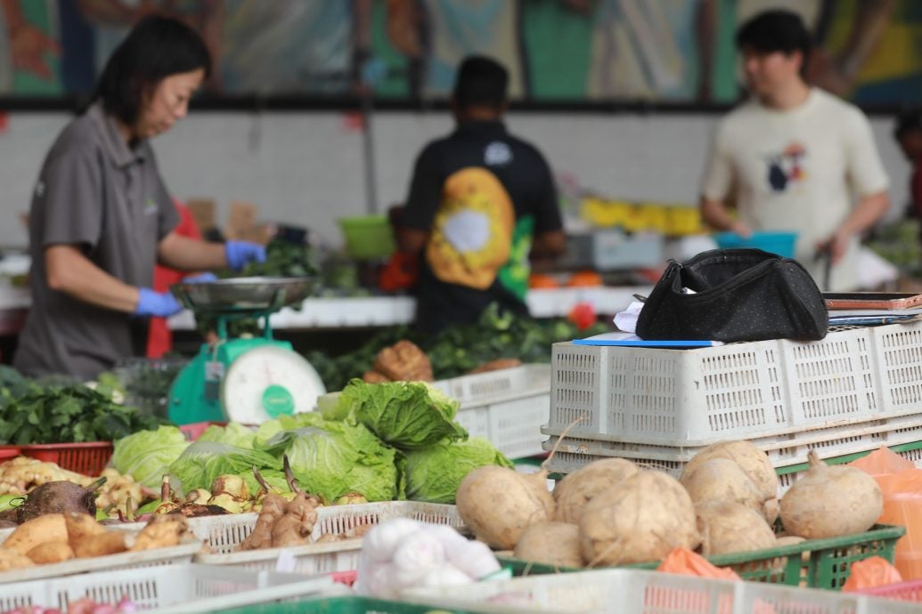封面-大都会-新年还没到，芽菇已提前三个月报到／10图