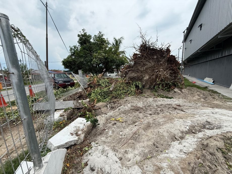 封面-大都会:雪州首个华人新村室内羽球馆落成/12图