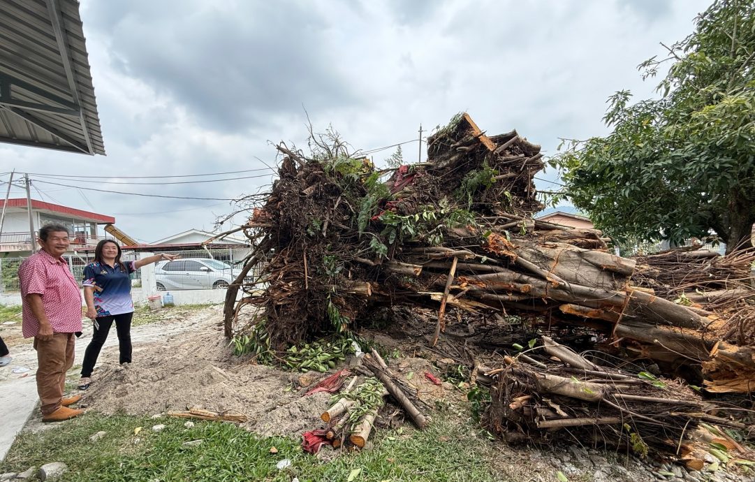 封面-大都会:雪州首个华人新村室内羽球馆落成/12图