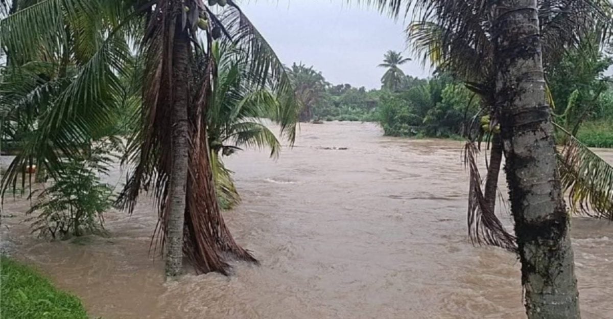 封面/大都会-雪隆水灾／多图