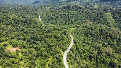 尼查：持续监督水位及斜坡   工程局准备好应对季候风