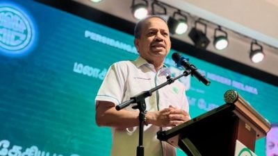 巫伊可合作 我们就不可以？国大党主席拒向巫统道歉