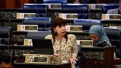 林慧英：确保透明有序   关注云顶大马私有化