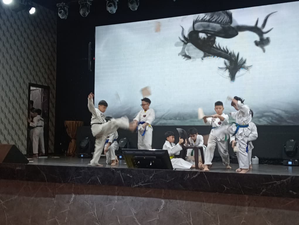 《爱我国光艺起来》筹款晚会 成功筹得44万5000