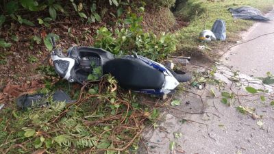 摩托骑士撞路上树干摔下 复遭汽车撞上身亡