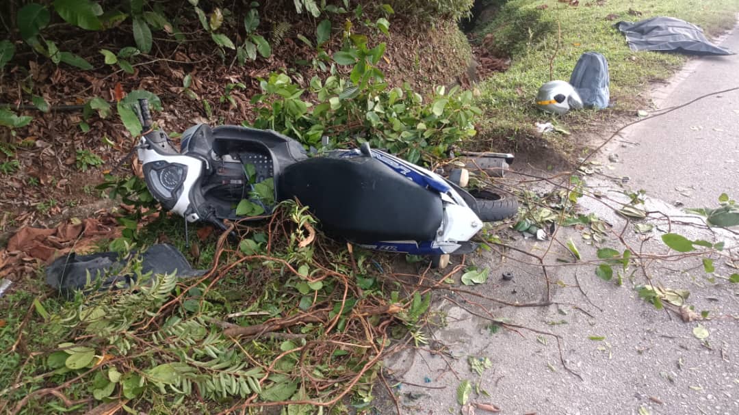 已签发 柔：摩托车骑士撞路上树干摔下  复遭汽车撞上身亡